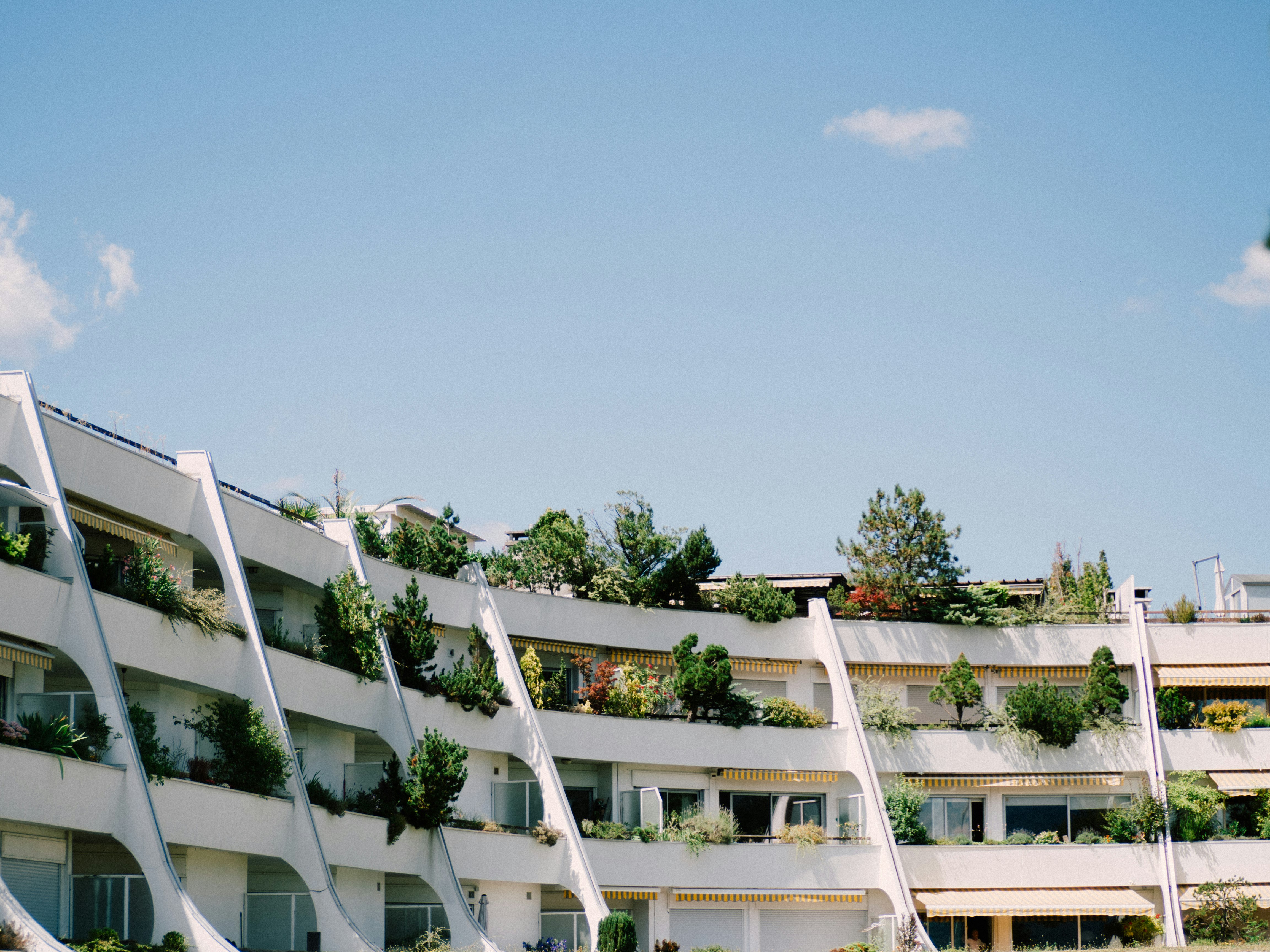 white concrete building under blue sky during daytime